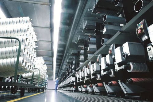 开发区建区37周年回眸 做强产业支撑，打造新材料技术研发新引擎